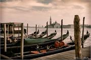 VENICE21 (5)
